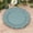 Dusty Blue, variant on Balsa Circle 20 Hunter Green Round 10" Plastic Dinner Plates Reef Design Disposable Tableware