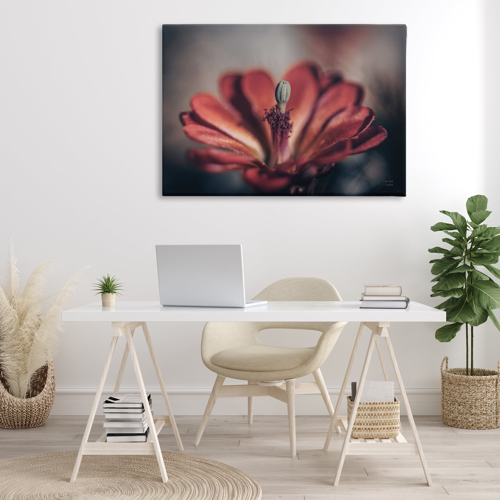 Stupell Industries Red Elevation Bloom Botanical & Floral Photography Gallery Wrapped Canvas Art Print Wall Art, 45 x 30