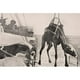 Posterazzi DPI1855307 Transfert de Chameau du Navire à la Terre dans le Golfe Persique 1915 de l'Affiche de Guerre, 18 x 12 – image 1 sur 1