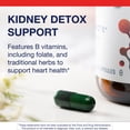 thumbnail image 3 of Metagenics Renagen DTX - Healthy Kidney Detoxification* - For Heart Health* - With Vitamin B6, Folate, Vitamin B12 & Cordyceps - Nutritional Supplement - Non-GMO - Gluten-Free - 60 Capsules, 3 of 7
