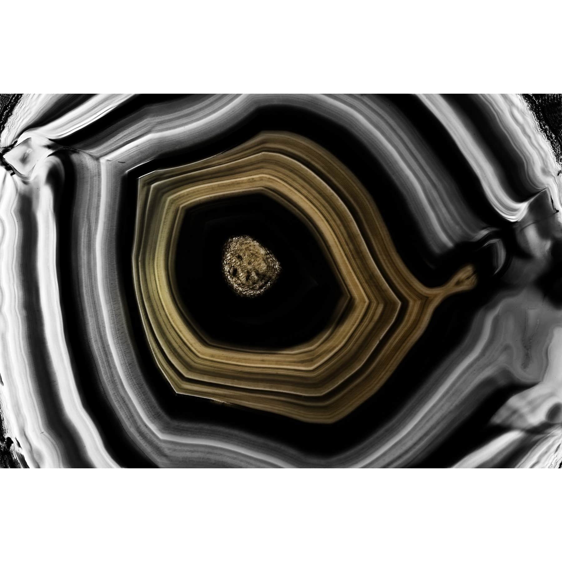 Marmont Hill "Golden Nucleus" Painting Print on Wrapped Canvas