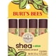 thumbnail image 1 of Bálsamo labial Burt's Bees Shea + Aloe hidratante, paquete de 4, 1 of 8