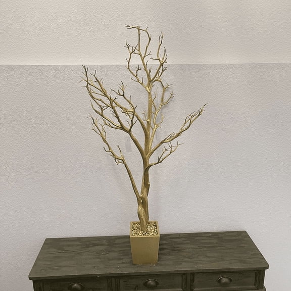 Manzanita Tree In Planter 4' - White