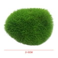 thumbnail image 3 of Accesorios de exhibición de hierba Modelo de para pared de muñecas de acuario. Decoración 2 ~ 3 cm perfecl bolas de musgo, 3 of 3