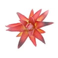 thumbnail image 3 of de Carnosa Aloe Artificial Plástico Decoración Patio Roja, 3 of 5