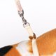 thumbnail image 2 of Wdftyju Conjunto de correa de arnés para perro con estampado de puntos Kits de cuerda de tracción para chaleco de gato para mascotas (Rosa M) Wdftyju 2na8wl9kb9kb3ek8D02, 2 of 6