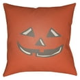 thumbnail image 2 of Surya  18 x 18 x 4 in. Boo Square Throw Pillow - Beige, 2 of 2