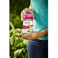 thumbnail image 3 of Osmocote 274150 Plus Outdoor and Indoor Smart Release Plant Food and Fertilizer 12 Pack, 1 lb, 3 of 5