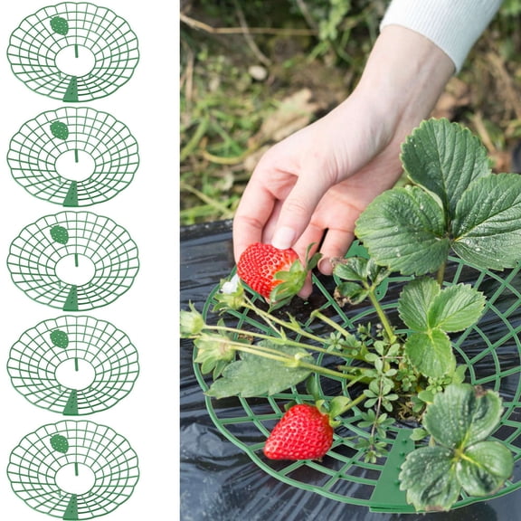 Spencer 5 Pack Strawberry Supports Strawberry Growing Racks Vegetable Racks Plant Climbing Stand Keeping Plant Clean and Not Rot