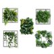 thumbnail image 3 of Adhesivos de pared creativos con plantas tropicales de vid y vegetación, 3 of 3