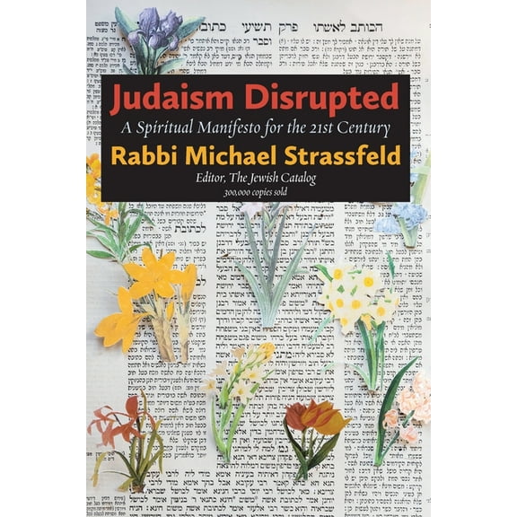 Judaism Disrupted: A Spiritual Manifesto for the 21st Century (Paperback)