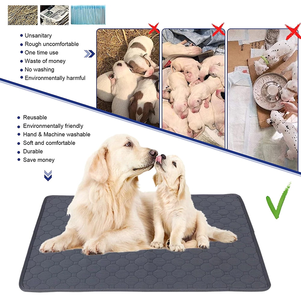 Diy Dog Pee Pad Buy Store Clc cet edu diy-dog-pee-pad-buy-store-clc-cet-edu