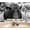 Color 2, variant on White tailed Deer Frosty Winter Forest Landscape Peel and Stick Wall Murals 69"H x 96"W Removable PVC Wallpaper Self-Adhesive Wall Paintings for Bedroom Living Room