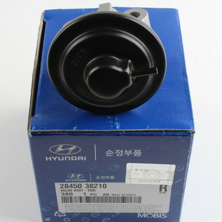 - GENUINE EGR VALVE 99-06 Hyundai Santa Fe Sonata Kia Optima 28450-38210