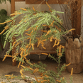 thumbnail image 5 of Artificial Large Rosemary Stem 49" Tall, 5 of 9