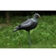 thumbnail image 3 of Señuelo Jardín Defensa Disuadir Scarer Espantapájaros, 3 of 8