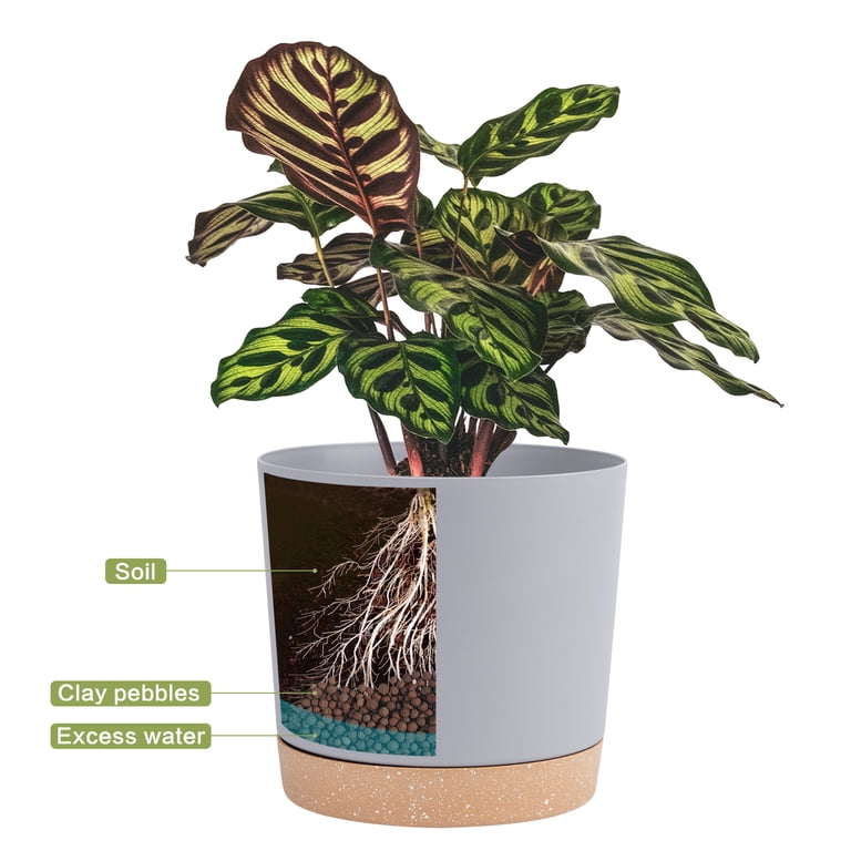 QCQHDU 6.5-Inch Plant Pots with Drainage, Set of 2 photo 5