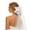 01White, variant on CAIXIA Bride to Be Sash Veil Bachelorette Party Accessories, Bridal Shower Decorations, Engagement Gifts for Bride