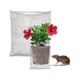 thumbnail image 2 of Bolsa de malla protectora de raíces para plantas, cesta de alambre resistente para raíces de plantas, bolsa de malla reutilizable para raíces de plantas, 2 of 3