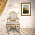 thumbnail image 3 of Berzel, Erin 13x18 Gold Ornate Wood Framed with Double Matting Museum Art Print Titled - Amsterdam Singel Canal, 3 of 4