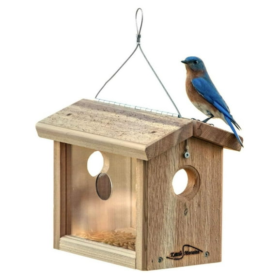 Cedar Hanging Bluebird Mealworm Feeder