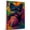 Affenpinscher, variant on Plott Hound Dog Stretched Canvas Size 8x12 – Funny Plott Hound Dog Playing American Football Canvas Wall Art for Sports Lovers, Pet Lovers, Home Decor