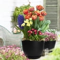 thumbnail image 3 of Lanccona Plastic Planter with Saucers,8/7/6/5.5/5 Inch Flower Pot Indoor Modern Decorative Plastic Pots for Plants with Drainage Hole and Tray for All House Plants, Flowers, and Cactus, Black, 3 of 6