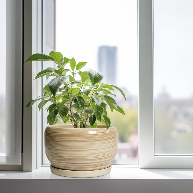 Ordivic Ceramic Plant Pot, 10-Inch Glossy Yellow with Saucer photo 5