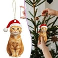 thumbnail image 2 of WMGHA 2D Realistic Cat Christmas Ornament Acrylic Lifelike Decor - Memorial Keepsake for Cat Lovers, Personalized Pet Gift for Women & Men for Xmas Tree Decorating, 2 of 8