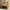 Brown, variant on Modern Velvet Accent Chair, Lounge Armchair with Ribbed Detail, Luxury Curved Fully Upholstered Chair, Comfy Single Sofa Chair for Livingroom/Bedroom/Study, Green