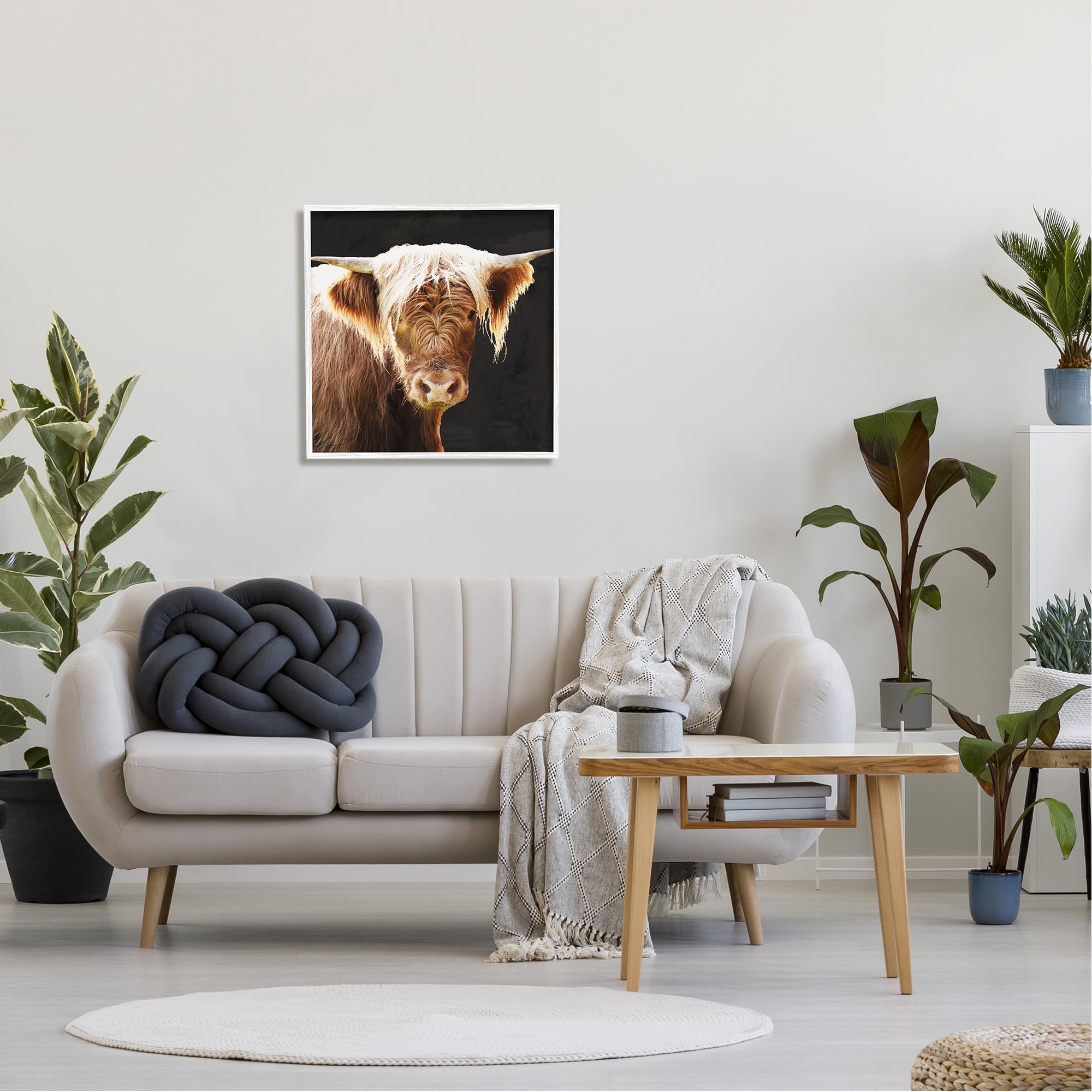 Stupell Industries Brown Wooly Cattle Animals & Insects Photography White Framed Art Print Wall Art, 24 x 24