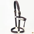 thumbnail image 2 of Small HILASON Western Horse Top Grade Nylon Comfortable & Flexible Halter, 2 of 3