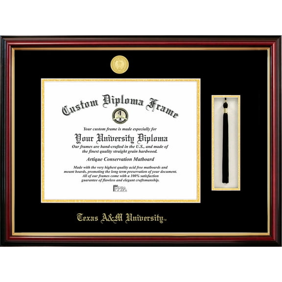 Campus Images Texas A&M University 12.5" x 16" Tassel Box and Diploma Frame