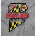 thumbnail image 2 of Maryland Flag MD Old Line State Unisex Fleece Graphic Zip Up Hoodie Brisco Brands 2X, 2 of 5
