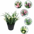 thumbnail image 4 of Planta artificial Simulación de flor artificial Planta en maceta verde Flor artificial Clivia Chlorophytum Planta en maceta Adornos decorativos Flores artificiales (rosa roja) Sailing Electrónica, 4 of 5