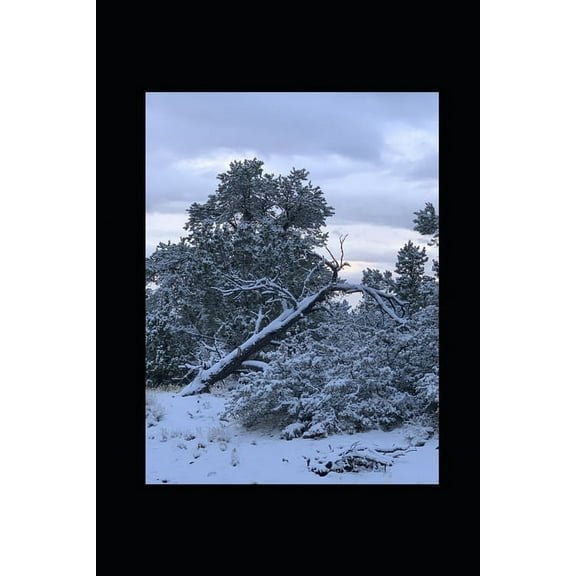 Small Words in Snow (Paperback)