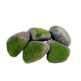 thumbnail image 4 of 5 piezas de rocas falsas, rocas falsas, rocas artificiales realistas y ligeras, decorativas para F, 4 of 8