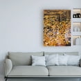 thumbnail image 3 of Trademark Fine Art 'Autumn Detail' Canvas Art by John Gavrili, 3 of 3