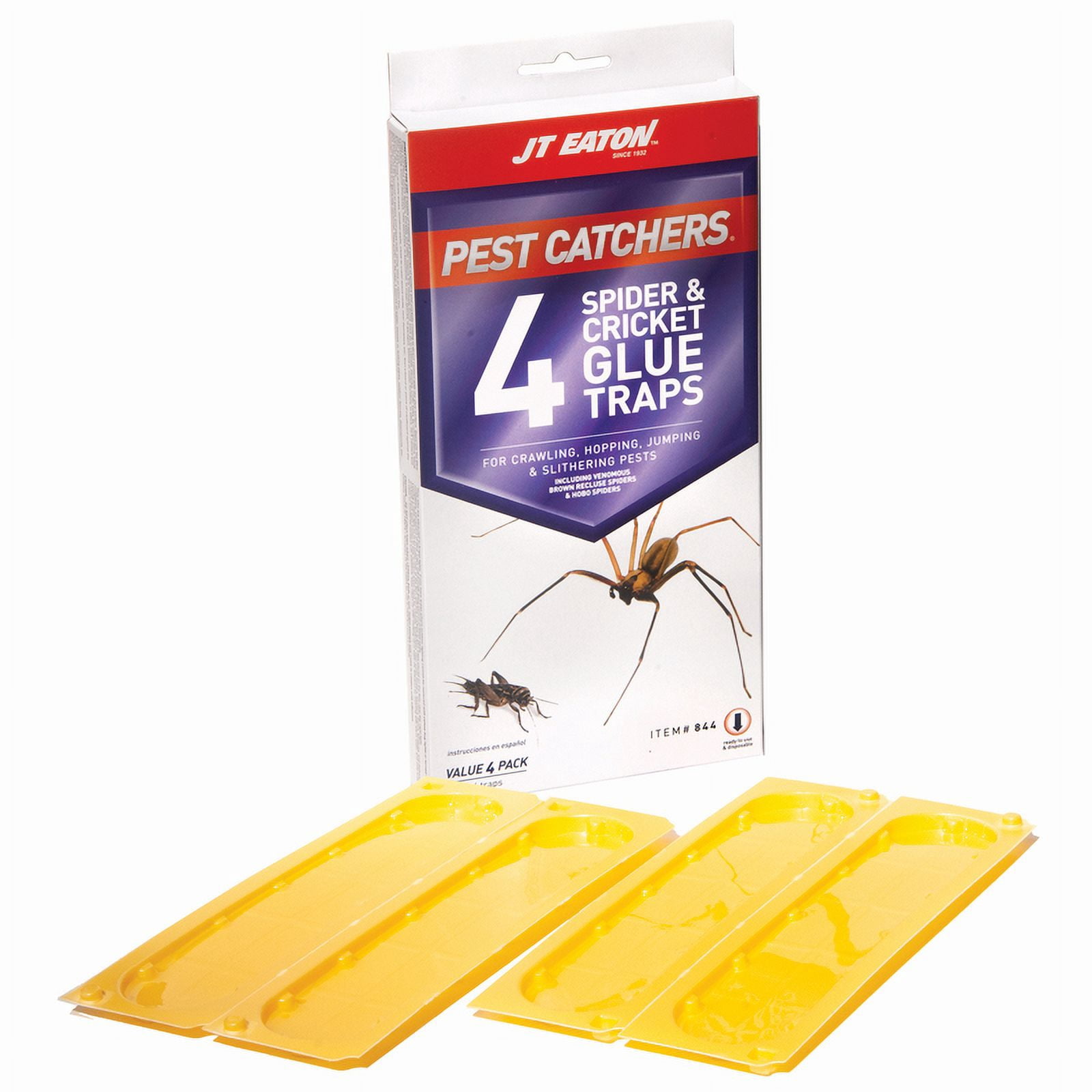 TRAP SPIDER & CRICKET (Pack of 12)