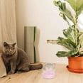 thumbnail image 2 of asddcavvf Revolutionary Cat Bowl Set: Eggshell Double Bowls for Neck & Spill Design Automatic Water, 2 of 4