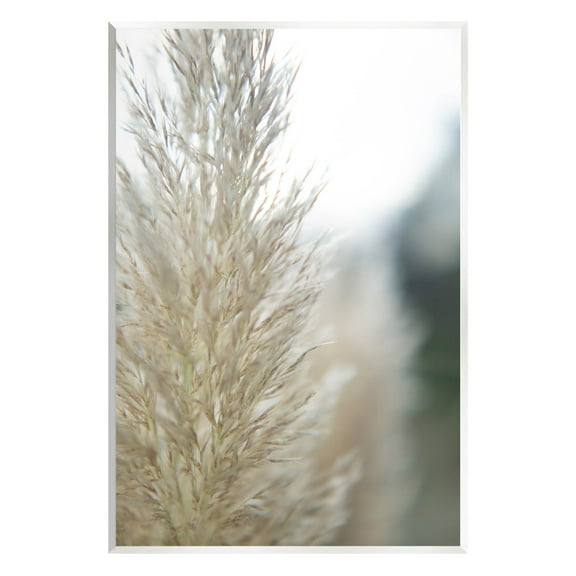 Stupell Industries Natural Pampas Grass Photography Scene Photograph Unframed Art Print Wall Art, Design by Jason Johnson