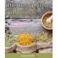 thumbnail image 1 of Compendio de hierbas y plantas milagrosas Grupo Editorial Tomo Cami Onolfo, 1 of 2