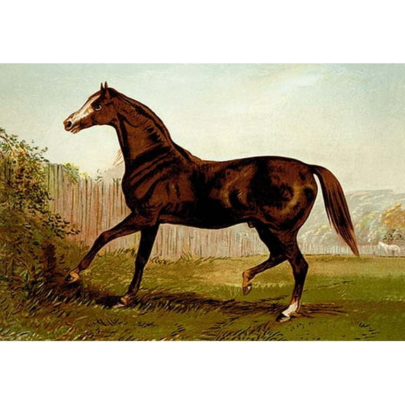 Blair Athol Fine art canvas print (20" x 30")