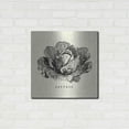 thumbnail image 3 of Luxe Metal Art 'Linen Vegetable BW Sketch Lettuce' by Studio Mousseau, Metal Wall Art, 24"x24", 3 of 7
