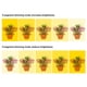 thumbnail image 5 of Crecimiento De Plantas 20 Led Luz De Crecimiento Lámpara De Anillo Usb De Espectro Completo Para Plantas De Interior Suculentas Semillas Inicio Luces De Cultivo De Flores Para El Hogar, 5 of 6