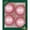 Pink, variant on Glass Christmas Tree Ornaments - 80mm / 3.25" [4 Pieces] Designer Balls from Christmas By Krebs Seamless Hanging Holiday Decor (Pink)