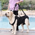 thumbnail image 7 of Portable Dog Sling for Hind Leg and Hip Support with Soft Lining, Multiple Sizes Available, 7 of 7