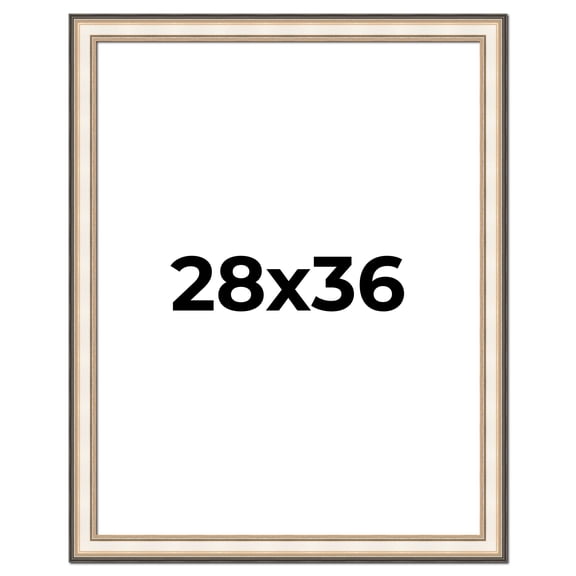 28x36 Frame Gold Silver Plein Aire 2" Inch Wide Moulding Solid Wood Picture Frame | Modena