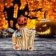 thumbnail image 1 of Estatua De Calabaza De Halloween | Figuritas De Calabaza De Halloween Estatuas De Resina | Figuritas De Halloween Decoraciones De Mesa Para El Hogar, 1 of 5