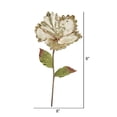 thumbnail image 3 of Vickerman OF160338 Tige de Fleur d'Hibiscus Champagne, 23 & 8 Po., 3 of 3